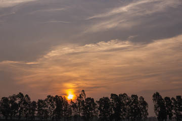 Obraz premium Sunset Fields 