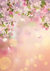 Obraz na płótnie Canvas Spring Apple blossom