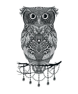 Vector black hand drawn Owl sitting on branch Illustration