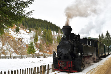 Running wood-burning locomotive of Mocanita (Maramures, Romania). - obrazy, fototapety, plakaty