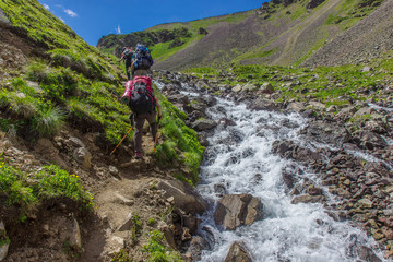 Fototapeta premium Mountain tourists go up the hill along the turbulent river in the Caucasus Mountains