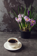 On the table is a Cup of coffee and a vase with flowers crocuses on the background of the loft wall