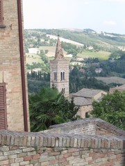 urbino