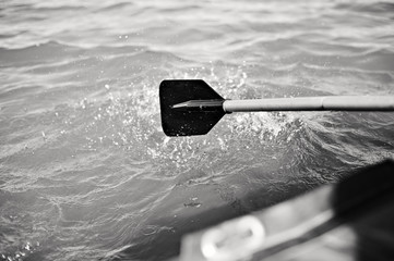 The paddle on the water, black and white photo.