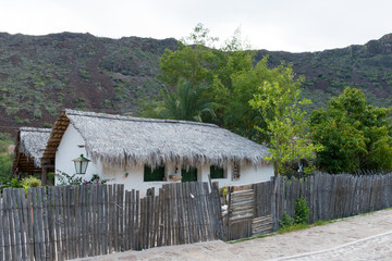 Thatched roof cottage
