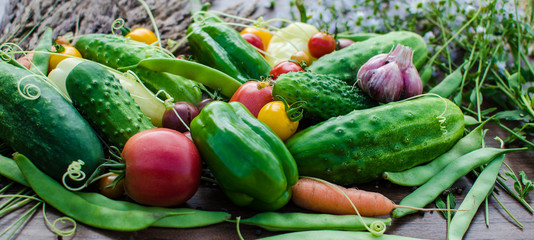 Fresh and raw vegetables