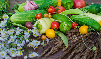 Fresh and raw vegetables