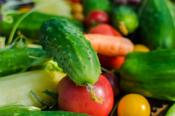 Fresh and raw vegetables