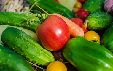 Fresh and raw vegetables