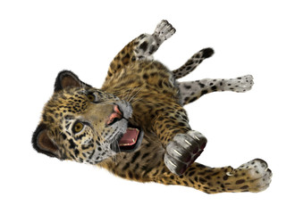 3D Rendering Big Cat Jaguar on White