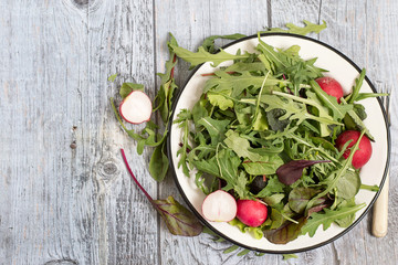 Green salad.   Spring green salad with herbs such as chard, lettuce, beet leaves and a fresh radish on a plate on a gray wooden table.