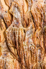 squids put down to dry in Tai O, Hongkong