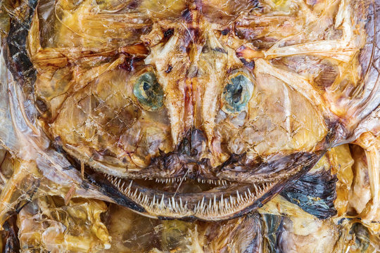picture of a dried monkfish