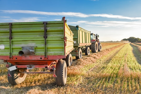 Ernte - Abtransport des Getreides mit zwei Anhängern, tiefstehende Sonne, HDR