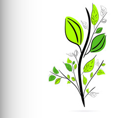 Decorative floral green plant