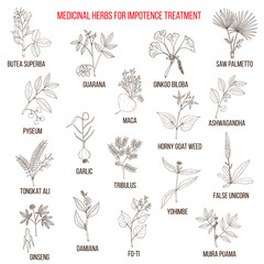 Best herbs for impotence treatment