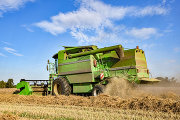 Obraz premium Grain harvest - side view of a combine harvester