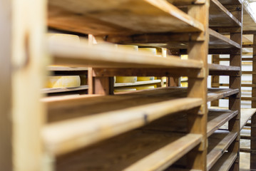 Affinage de fromage dans une cave France