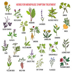 Fototapeta na wymiar Best herbs for menopause symptom treatment