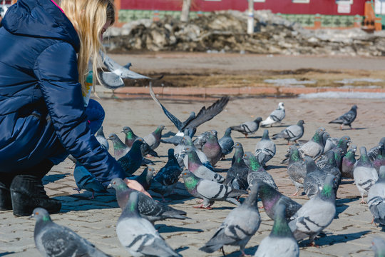 The girl feeds pigeons.