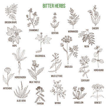 Bitter herbs collection