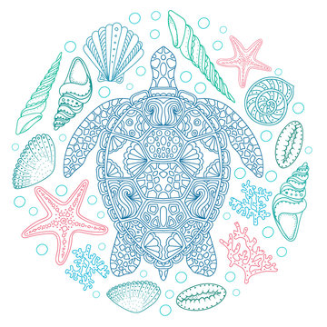Sea turtle and shells, seastar, coral in line art style. Hand drawn vector illustration. Design for coloring book. Set of ocean elements