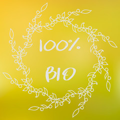 Labels with vegetarian and raw food diet designs. Organic food tags and elements set for meal and drink, cafe, restaurants and organic products packaging