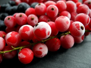 Gefrorene Waldbeerenund Johannisbeeren 