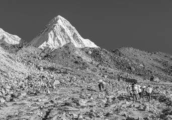 Caravans with cargoes for climbers on the path between the Lobuc