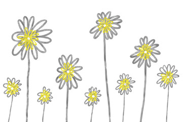 Hand drawn abstract camomiles on the white background. Isolated illustration of flowers painted by oil color, high quality