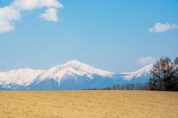 Fototapeta premium 残雪の山並みと春の畑