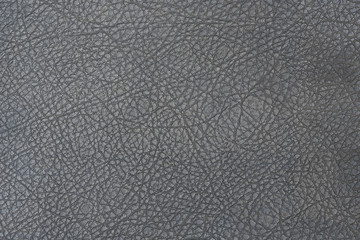 close up of abstract leather texture
