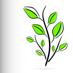 Decorative floral green plant