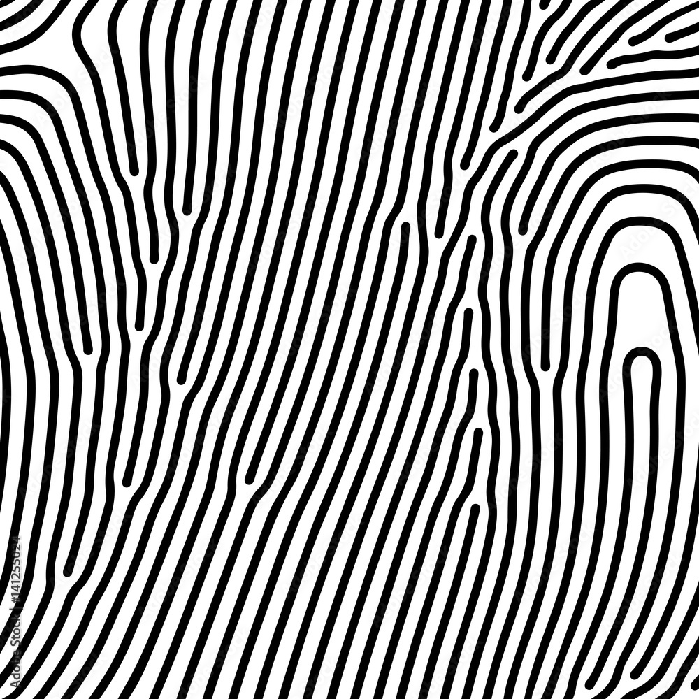 Poster Abstract background of vector organic irregular lines maze pattern
