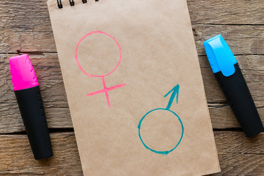 gender symbols drawn with colored markers