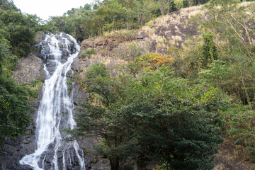 waterfall in the rainforest