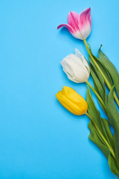 Charming posy of spring tulips over blue flatlay