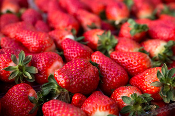 strawberries on the counter for sale in spring and summer