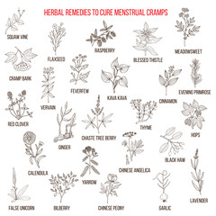 Fototapeta na wymiar Best herbs for menstrual cramps treatment