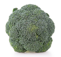 One broccoli front view on white background