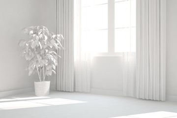 Fototapeta na wymiar White modern empty room. Scandinavian interior design. 3D illustration