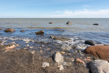 Baltic Sea coast in the summer