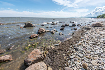 Baltic Sea coast in the summer