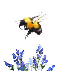 Watercolor Bumblebee Flying Over Blue Flowers Hand Painted Summer Illustration isolated on white background