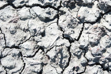 Cracked clay ground