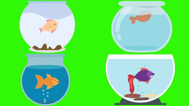 Cartoon Fish Bowls with Dead Fish on a Green Screen