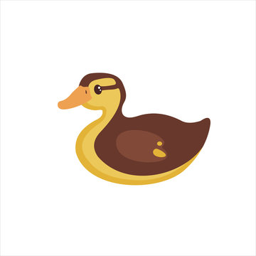 Cute Ducking in flat style.