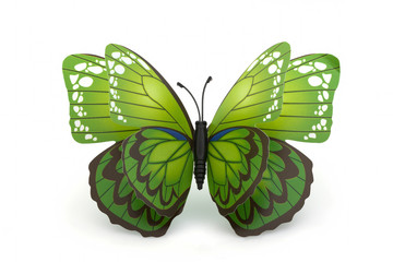 Beautiful green with a brown butterfly on a white background