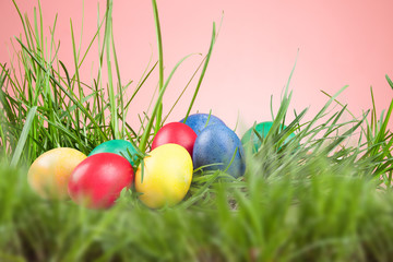 Easter colored eggs in the grass