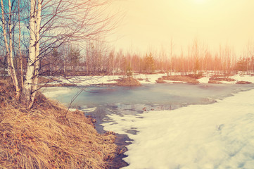 Spring landscape with melting snow and thawed patches in forest